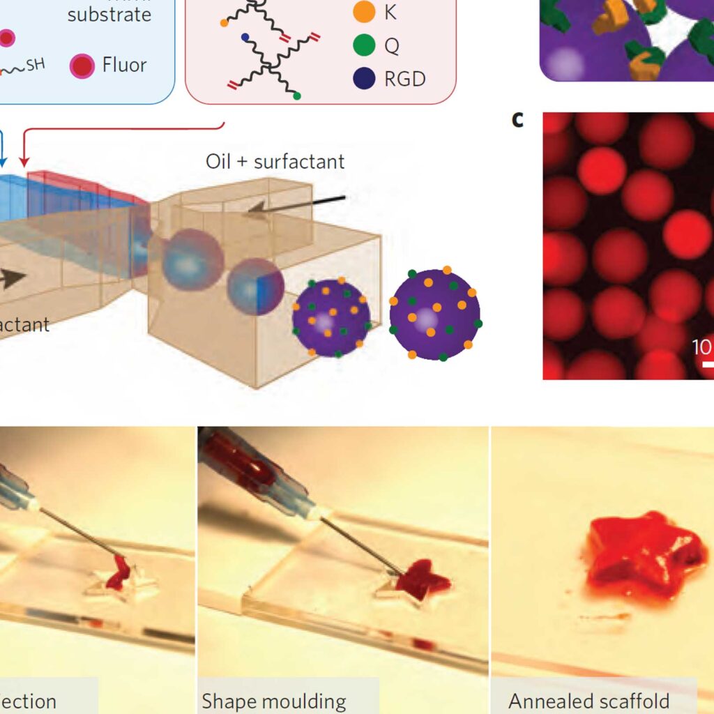 Publications - Biotechnology - Tempo Therapeutics